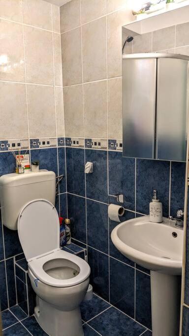 Cosy One Bedroom Flat With Free Parking & Wifi 클루지나포카 외부 사진